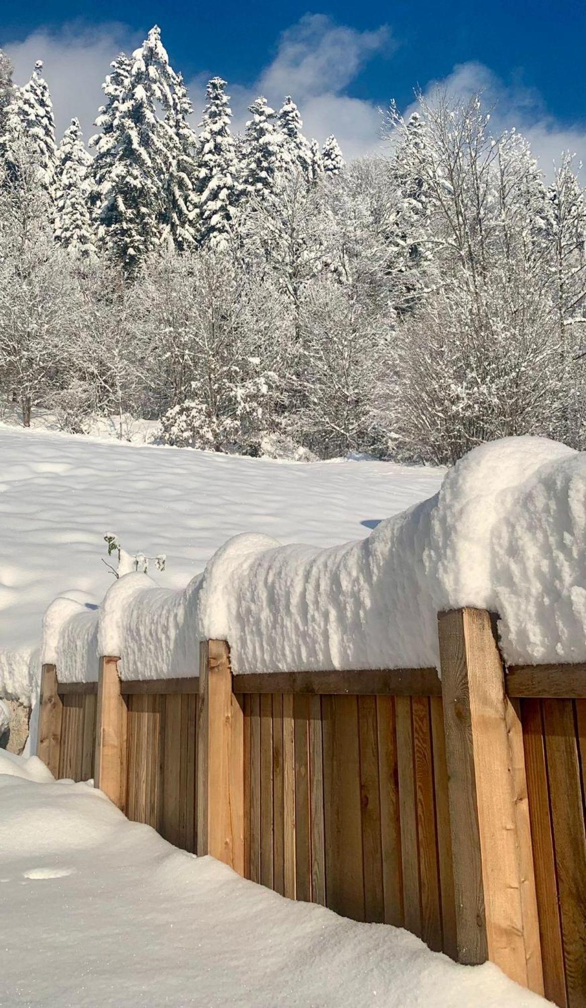 Appartement Naturbunt Söll Eksteriør billede